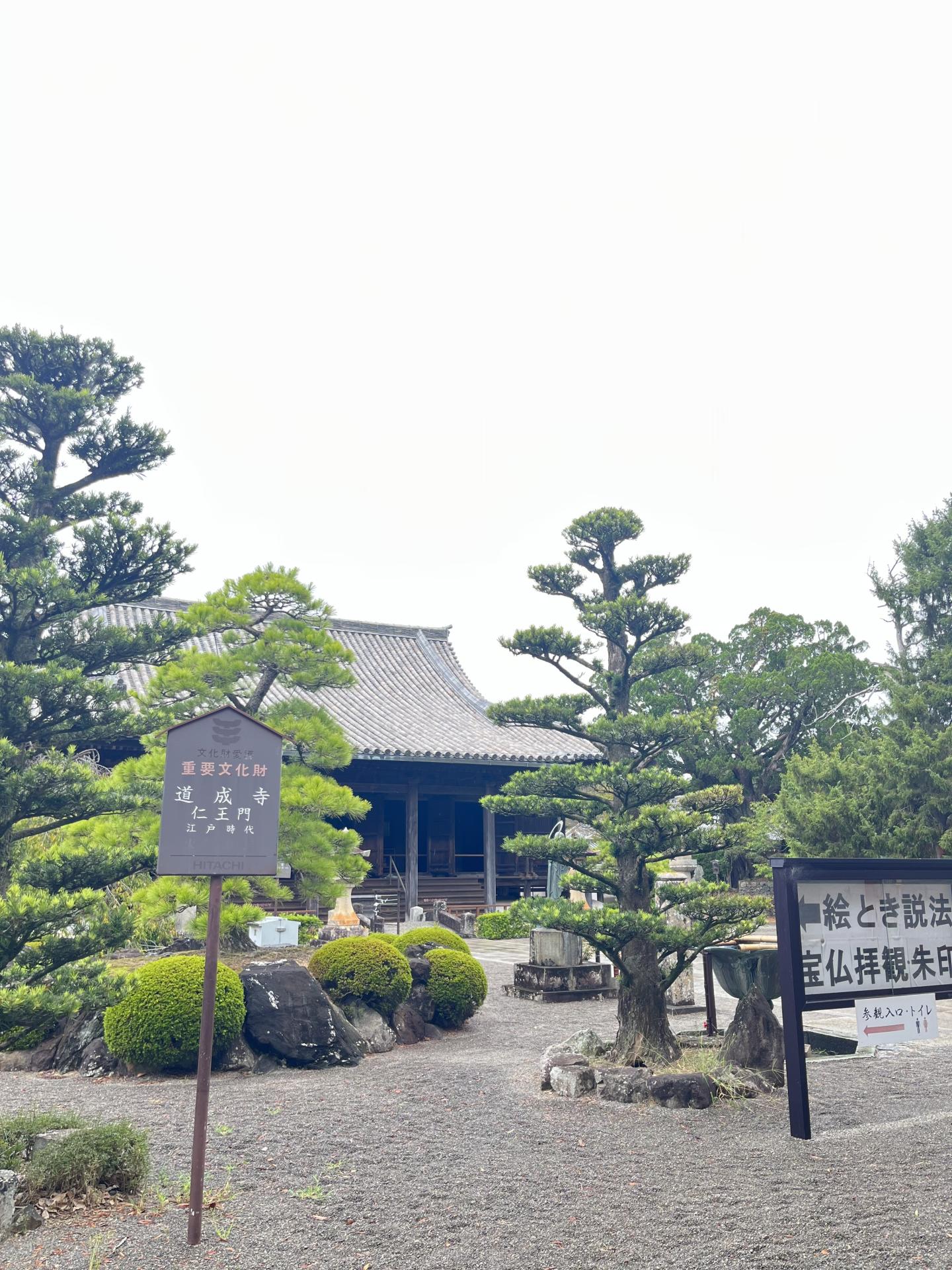 映画で話題になったお寺